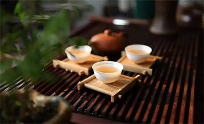 平湖市普洱茶回收实现资源再利用的新选择